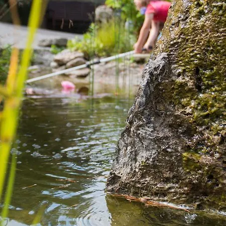 Gaestehaus Behle-schaeperken Pensjonat Willingen (Upland)