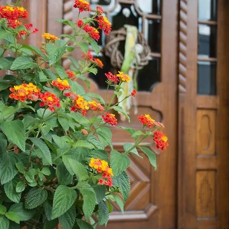 Vendégház Gaestehaus Behle-schaeperken