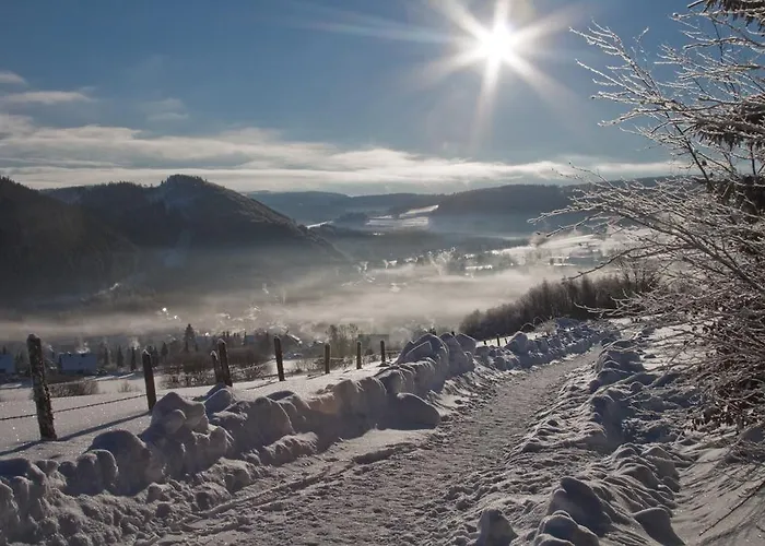 بيت ضيافة Gastehaus Behle-schaperken 3*