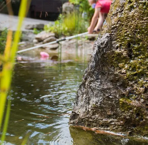 Gastehaus Behle-schaperken بيت ضيافة فيلنغن