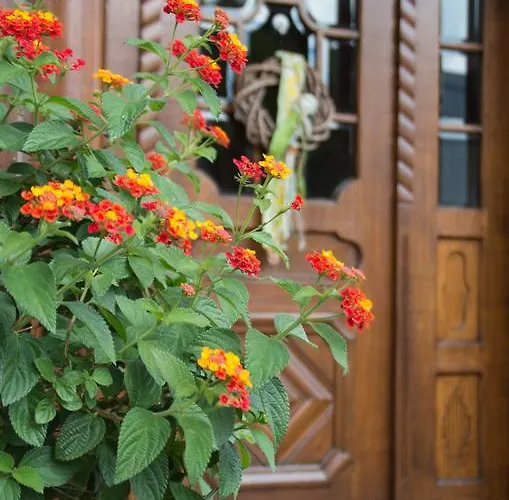 بيت ضيافة Gastehaus Behle-schaperken